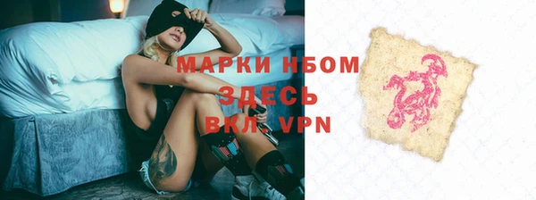 мдпв Верхний Тагил