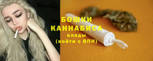 мдпв Верхний Тагил