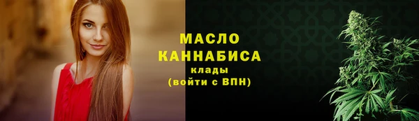 мдпв Верхний Тагил