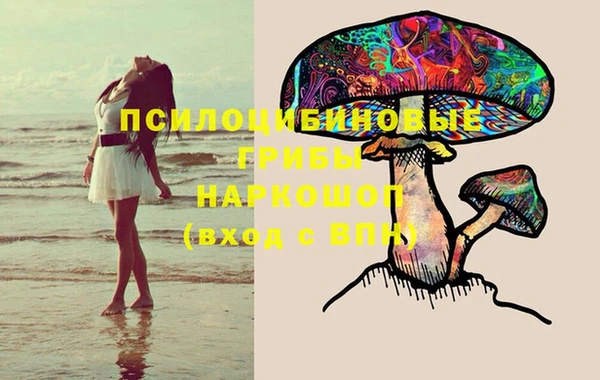мдпв Верхний Тагил
