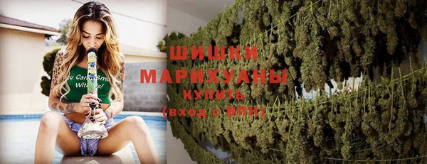 мдпв Верхний Тагил