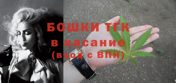 мдпв Верхний Тагил